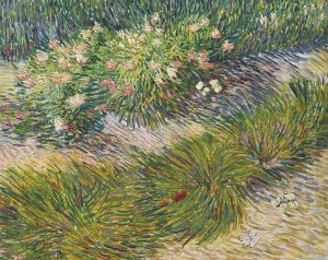 Grass And Butterflies