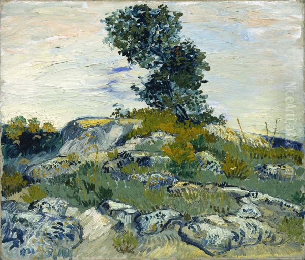 Rocks With Oak Tree - view 1