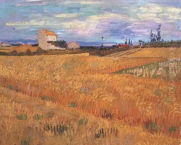 Wheat Field - view 1