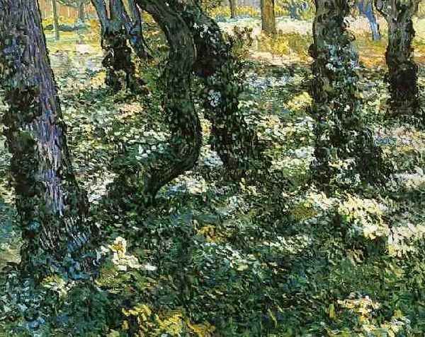 Tree Trunks With Ivy - view 1