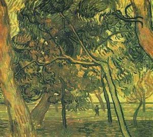 Study Of Pine Trees by Vincent Van Gogh