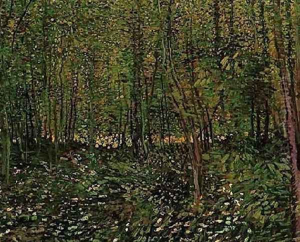 Trees And Undergrowth II - view 1