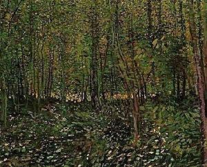 Trees And Undergrowth II