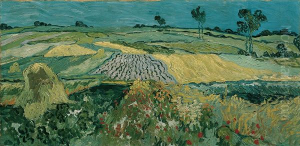 Wheatfields - view 1