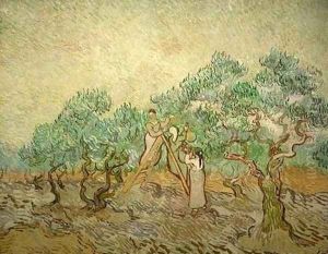 Olive Picking III
