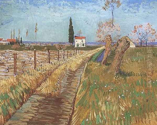 Path Through A Field With Willows - view 1