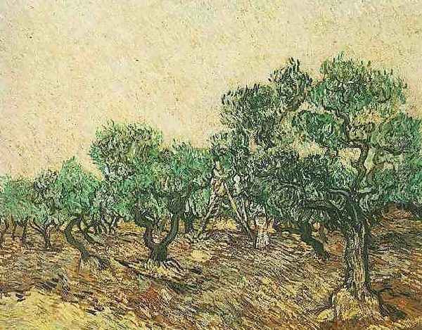 Olive Picking - view 1