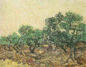 Olive Picking
