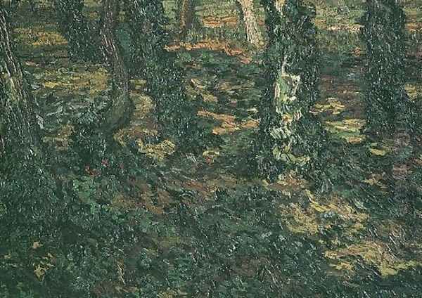 Tree Trunks With Ivy II - view 1