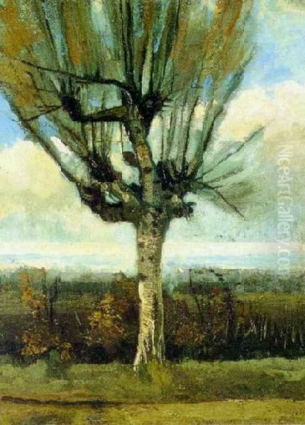 The Willow - view 1