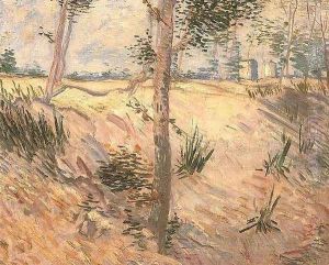 Trees In A Field On A Sunny Day by Vincent Van Gogh