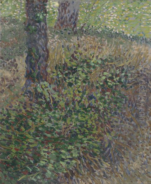 Undergrowth - view 1