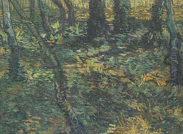 Undergrowth With Ivy - view 1