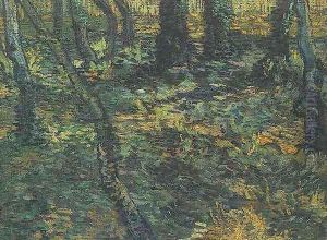 Undergrowth With Ivy by Vincent Van Gogh