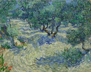Olive Grove by Vincent Van Gogh