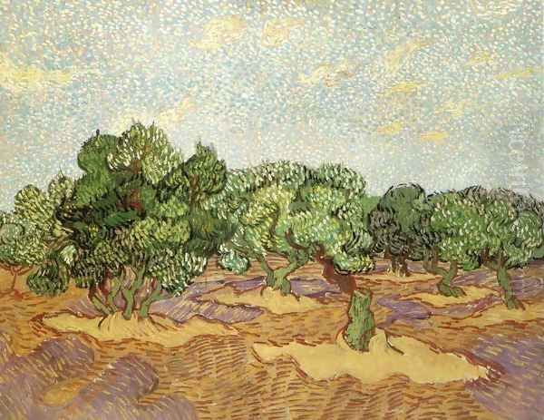 Olive Grove 3 - view 1