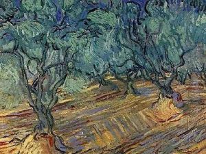 Olive Grove 2 by Vincent Van Gogh