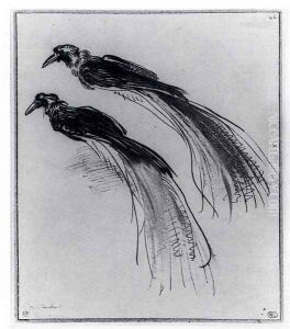 Two Studies Of A Bird Of Paradise by Harmenszoon van Rijn Rembrandt