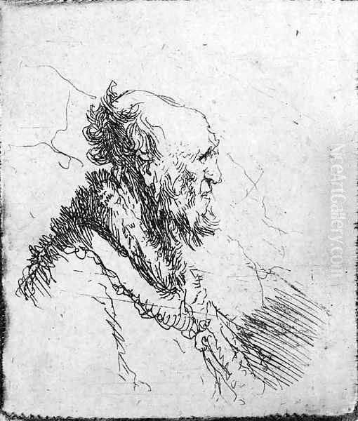 A bald old Man with a short Beard, in Profile Right - view 1