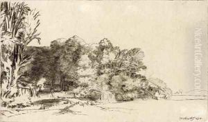 Clump of Trees with a Vista