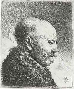 Bald-headed man in Profile Right; The Artist's Father by Harmenszoon van Rijn Rembrandt