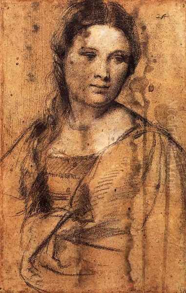 Portrait of a Young Woman (draw) - view 1