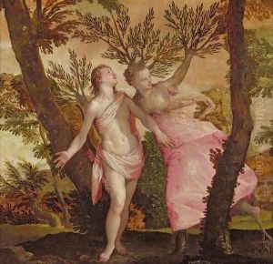 Apollo and Daphne, c.1565-70 by Paolo Veronese (Caliari)