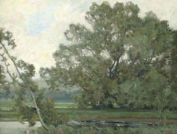 A shady glade - view 1