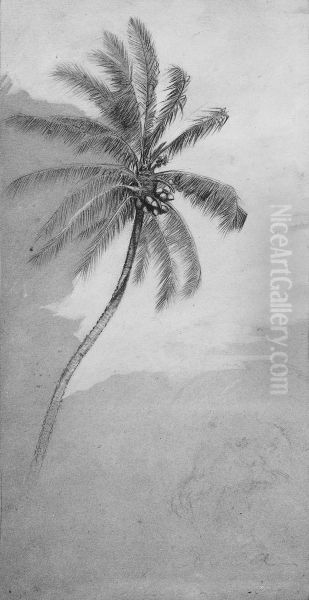 Palm Tree - view 1