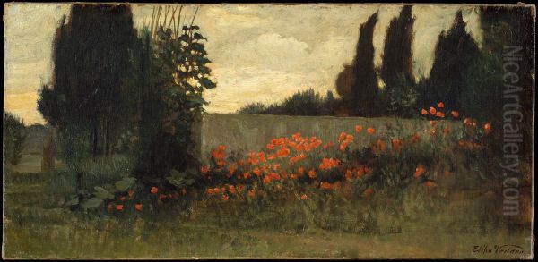 Cypress and Poppies - view 1