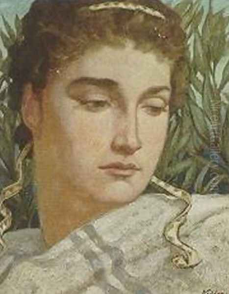 Narcissus - view 1