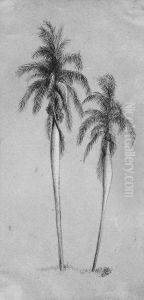 Two Palm Trees