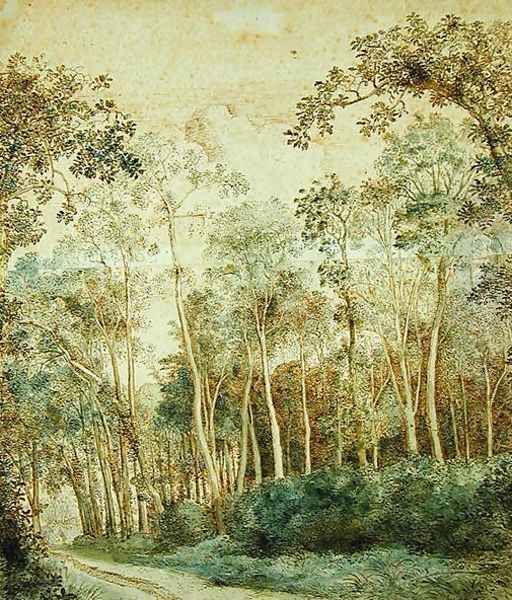 Wooded Landscape - view 1