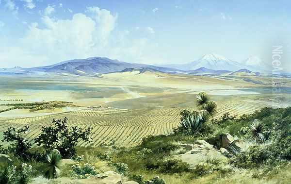 The Chimalpa Ranch, 1895 - view 1