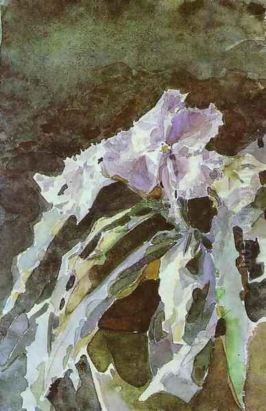 Orchid, 1886-87 - view 1