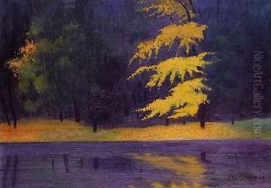 The Lake in the Bois de Boulogne