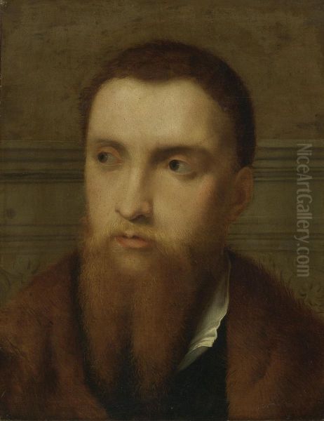 Portrait Of A Bearded Man, Head And Shoulders, In An Interior - view 1