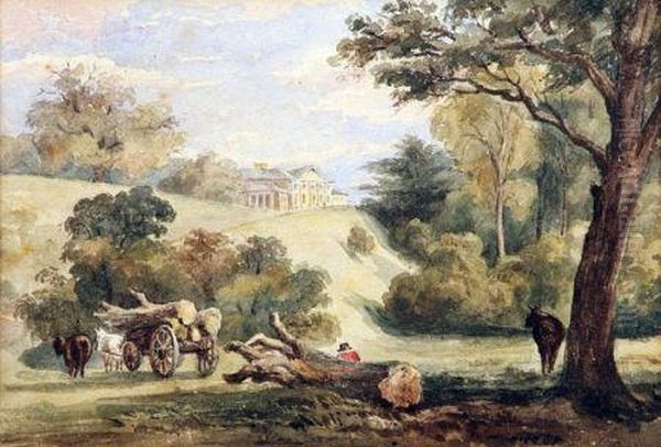 Shrubland From Diana Hill - view 1