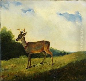 Portrait De Jeune Daim Au Collier Rouge by Charles Emile De Callande Champmartin
