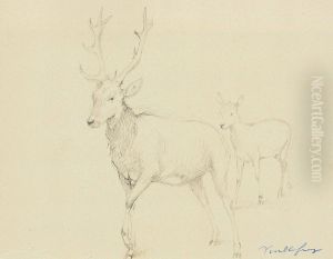 Une Biche Et Un Chevreuil by Felix Dominique De Vuillefroy