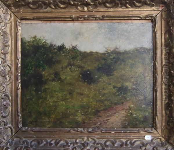 Chemin Dans La Campagne - view 1