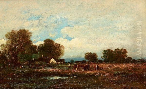 Paysage - view 1
