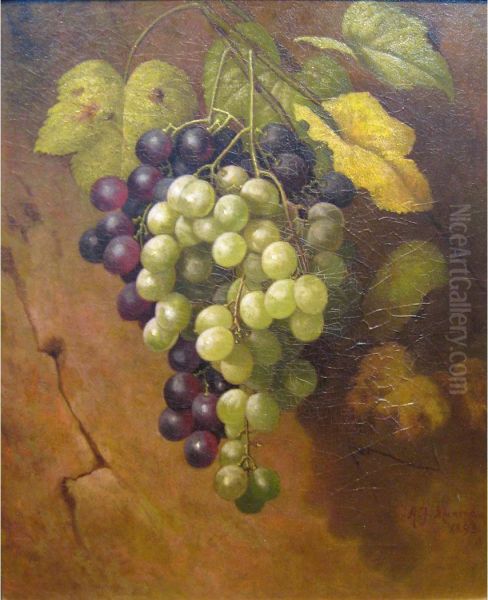 Still Life Of Grapes - view 1