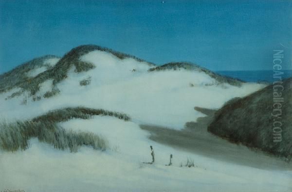 Moonshadows Across Sand Dunes - view 1