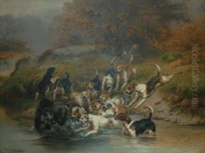 Hallali De Sanglier A L'eau
