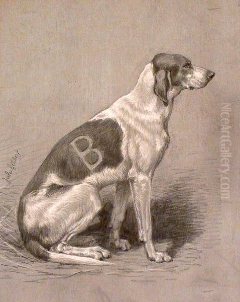 Chien De Meute De L'equipage Chandon De Briailles - view 1