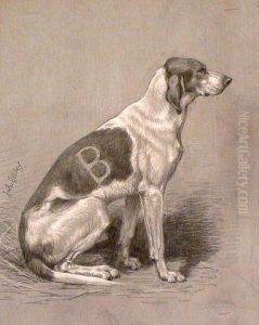 Chien De Meute De L'equipage Chandon De Briailles