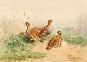 Perdrix Grises Dans Un Paysage. by Jules Bertrand Gelibert