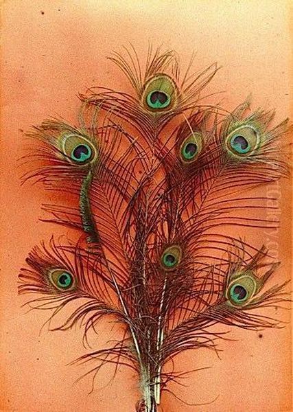 Plumes De Paon, Circa 1910 - view 1