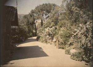 Chateau De Theoule-sur-mer, Allee Bordee De Cactus